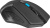 Мышь Defender Accura MM-275 (черный/синий) Мышь Defender Accura MM-275 (черный/синий)