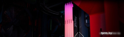 Оперативная память Kingston FURY Beast RGB 32ГБ DDR4 2666МГц KF426C16BB2A/32 