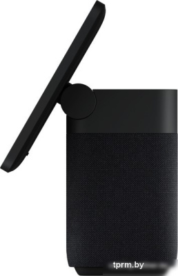 Яндекс Станция Дуо Макс (черный) 