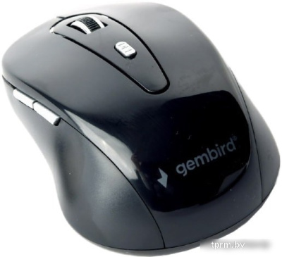 Мышь Gembird MUSW-6B-01 