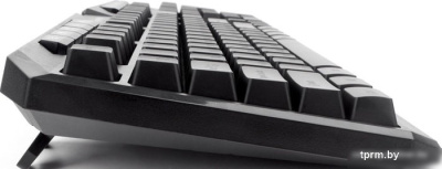 Клавиатура Gembird KB-G420L 
