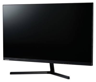 Игровой монитор SunWind SUN-M24BG110 