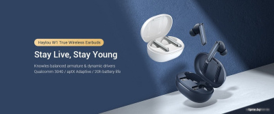 Наушники Haylou W1 (синий) 