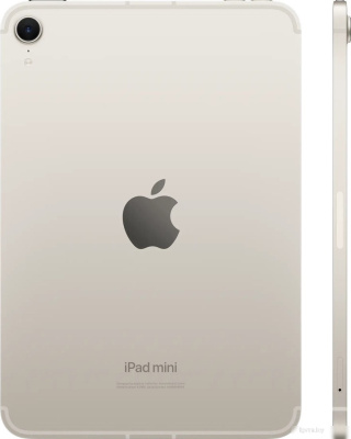 Apple iPad mini 2024 256GB (звездный свет) 