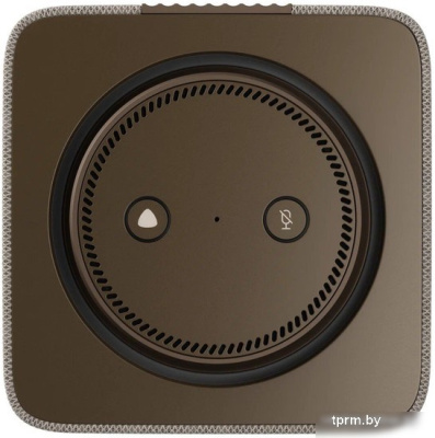 Яндекс Станция Макс (с хабом умного дома Zigbee, бежевый) 