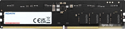 Оперативная память ADATA 8ГБ DDR5 5600 МГц AD5U56008G-S 