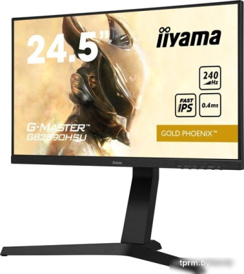 Монитор Iiyama G-Master GB2590HSU-B1 