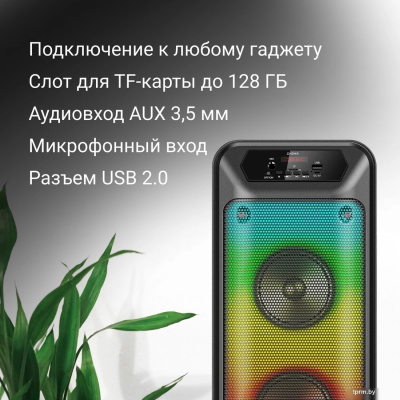 Беспроводная колонка Digma D-MC1705 