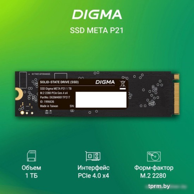 Digma Meta P21 1TB DGSM4001TP21T 