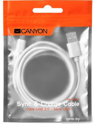 Кабель Canyon CNE-USBM1W 