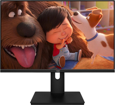 Монитор Aiwa MQ270A 