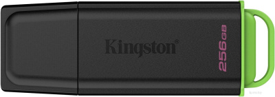 Kingston DataTraveler Exodia 256GB DTXG2/256GB 