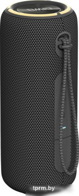 Беспроводная колонка Aiwa PAS-H300 (черный) 