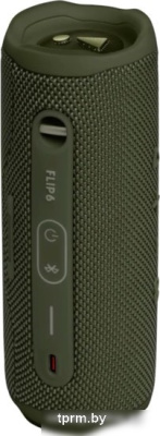 JBL Flip 6 (зеленый) 