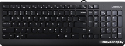 Lenovo 300 USB Combo 