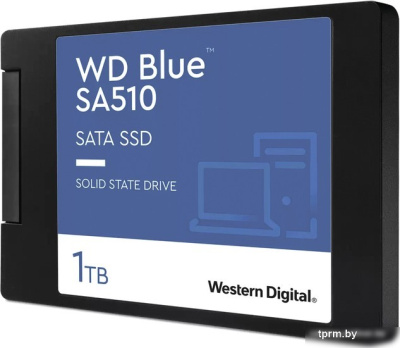 SSD WD Blue SA510 1TB WDS100T3B0A 