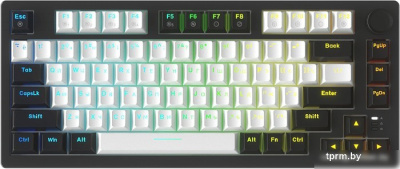 Клавиатура Dareu EK75 