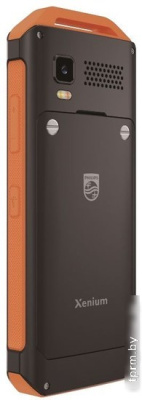 Кнопочный телефон Philips Xenium E2317 (желто-черный) 