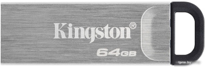 Kingston Kyson 64GB 