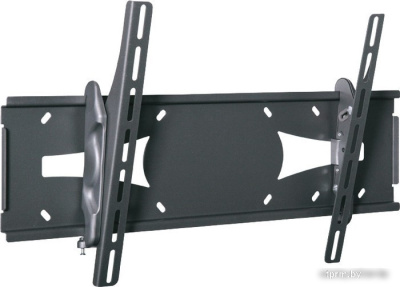 Кронштейн Holder PTS-4006 
