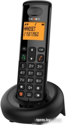 Радиотелефон TeXet TX-D4905A (черный) 