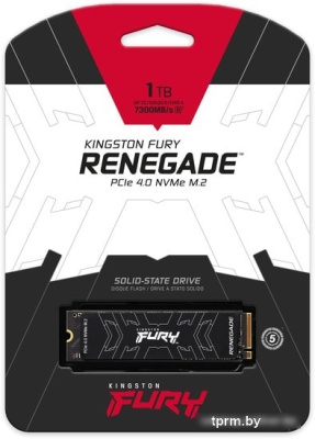Kingston Fury Renegade 1TB SFYRS/1000G 