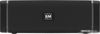 Беспроводная колонка Soundmax SM-PS5019B (черный) 