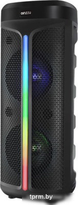 Колонка для вечеринок Ginzzu GM-224 