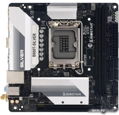 Материнская плата BIOSTAR B660T-SILVER Ver. 5.0 