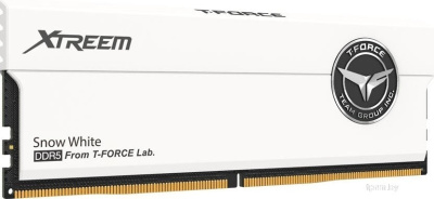 Оперативная память Team T-Force Xtreem 2x16ГБ DDR5 7600 МГц FFWD532G7600HC36FDC01 