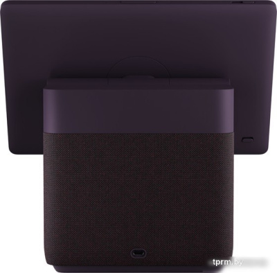 Яндекс Станция Дуо Макс (красный) 