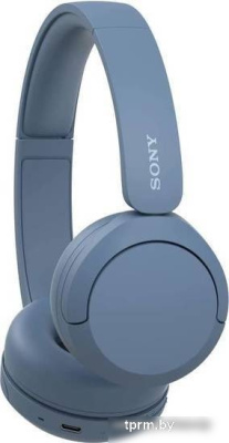 Наушники Sony WH-CH520 (синий) 