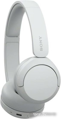 Наушники Sony WH-CH520 (белый) 