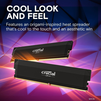 Оперативная память Crucial Pro Overclocking Edition 2x16ГБ DDR5 6000 МГц CP2K16G60C36U5B 