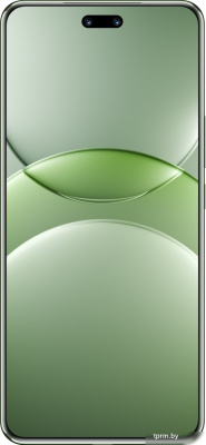 Смартфон Huawei nova 13 Pro MIS-LX9 12GB/512GB (дымчатый зеленый) 