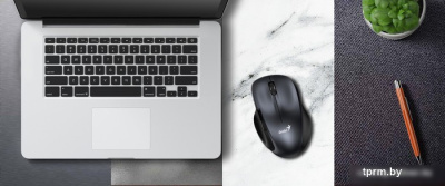 Мышь Genius Ergo 8200S (серый) 