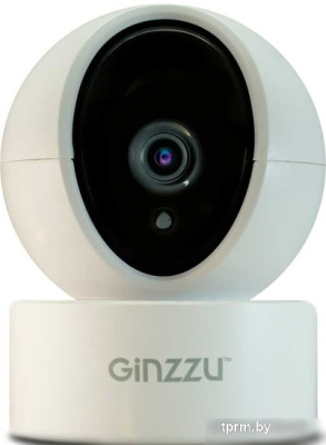 IP-камера Ginzzu HWD-2301A 