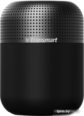Беспроводная колонка Tronsmart T6 Max 