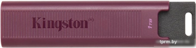 USB Flash Kingston DataTraveler Max Type-A 1TB 