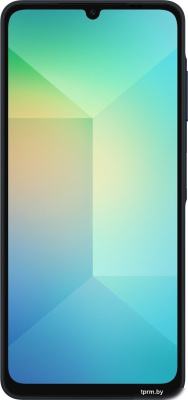 Смартфон Samsung Galaxy A06 SM-A065F 6GB/128GB (черный) 