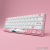 Клавиатура Akko 3061 World Tour Tokyo R2 (Akko CS Jelly Pink) 