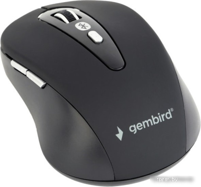 Мышь Gembird MUSWB-6B-01 