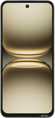 Tecno Spark 40 8GB/256GB (серый титановый) 