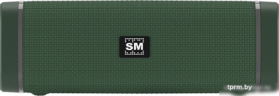 Soundmax SM-PS5019B (зеленый) 