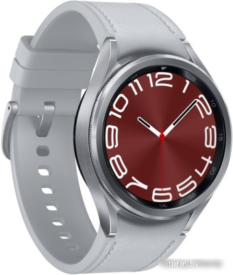 Умные часы Samsung Galaxy Watch6 Classic 43 мм (серебристый) 