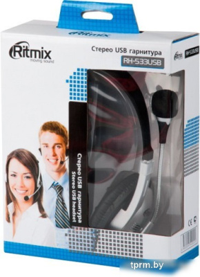 Наушники Ritmix RH-533 USB (черный) 