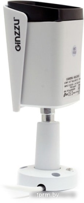 IP-камера Ginzzu HIB-2301A 