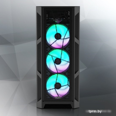 Корпус Raijintek Arcadia III ST 