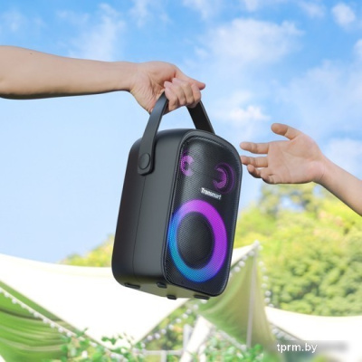 Беспроводная колонка Tronsmart Halo 110 
