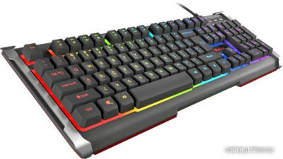 Клавиатура Genesis Rhod 400 RGB 